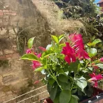 דירה Pigna Tommy House