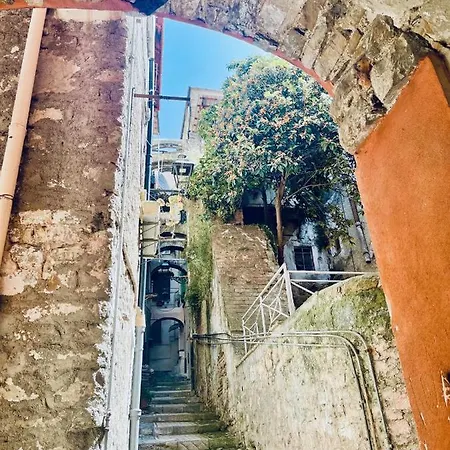 Pigna Tommy House شقة