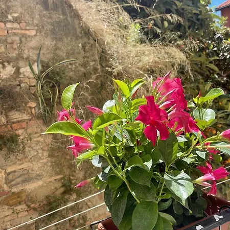 Διαμέρισμα Pigna Tommy House